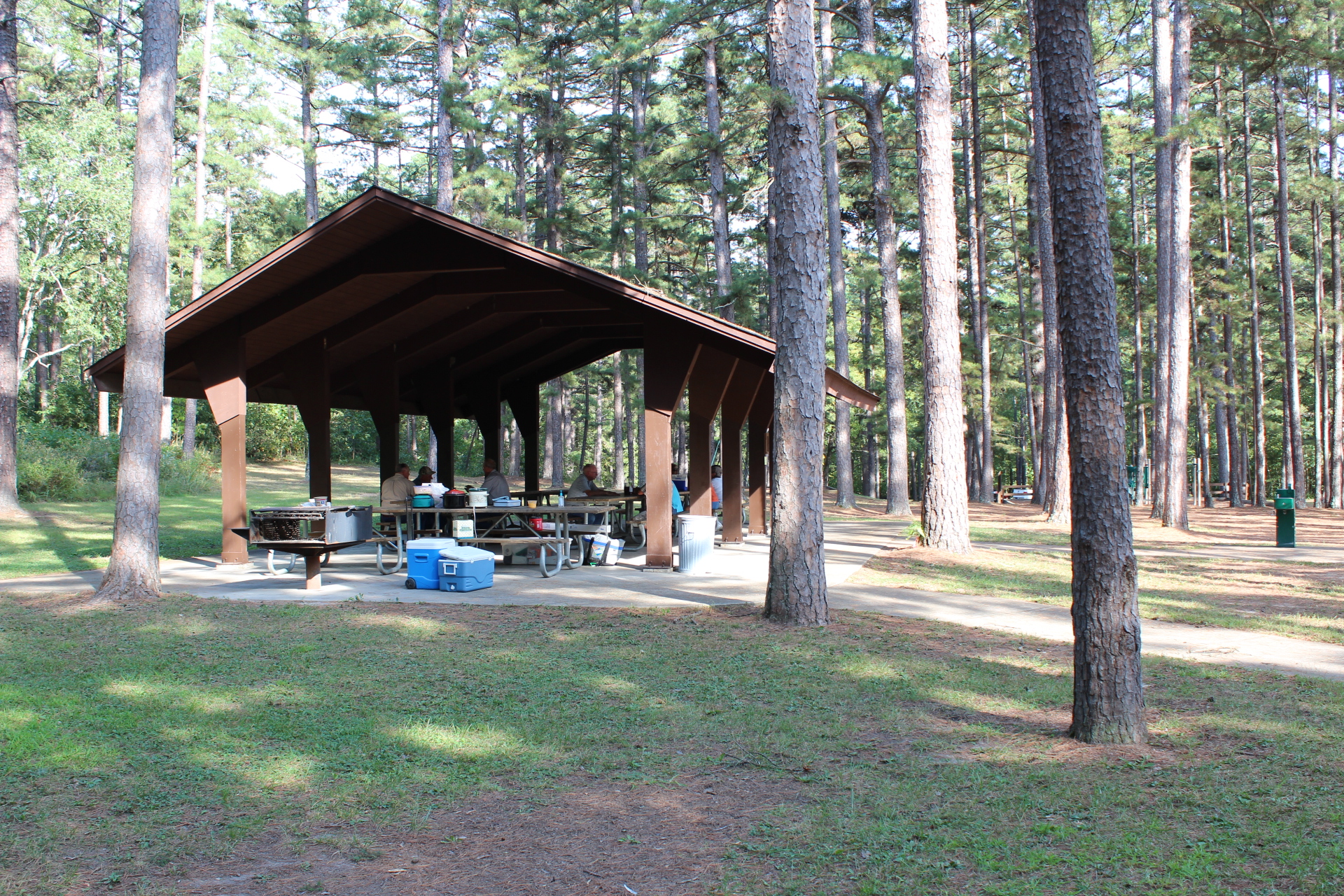 picnic shelter under tall pine trees