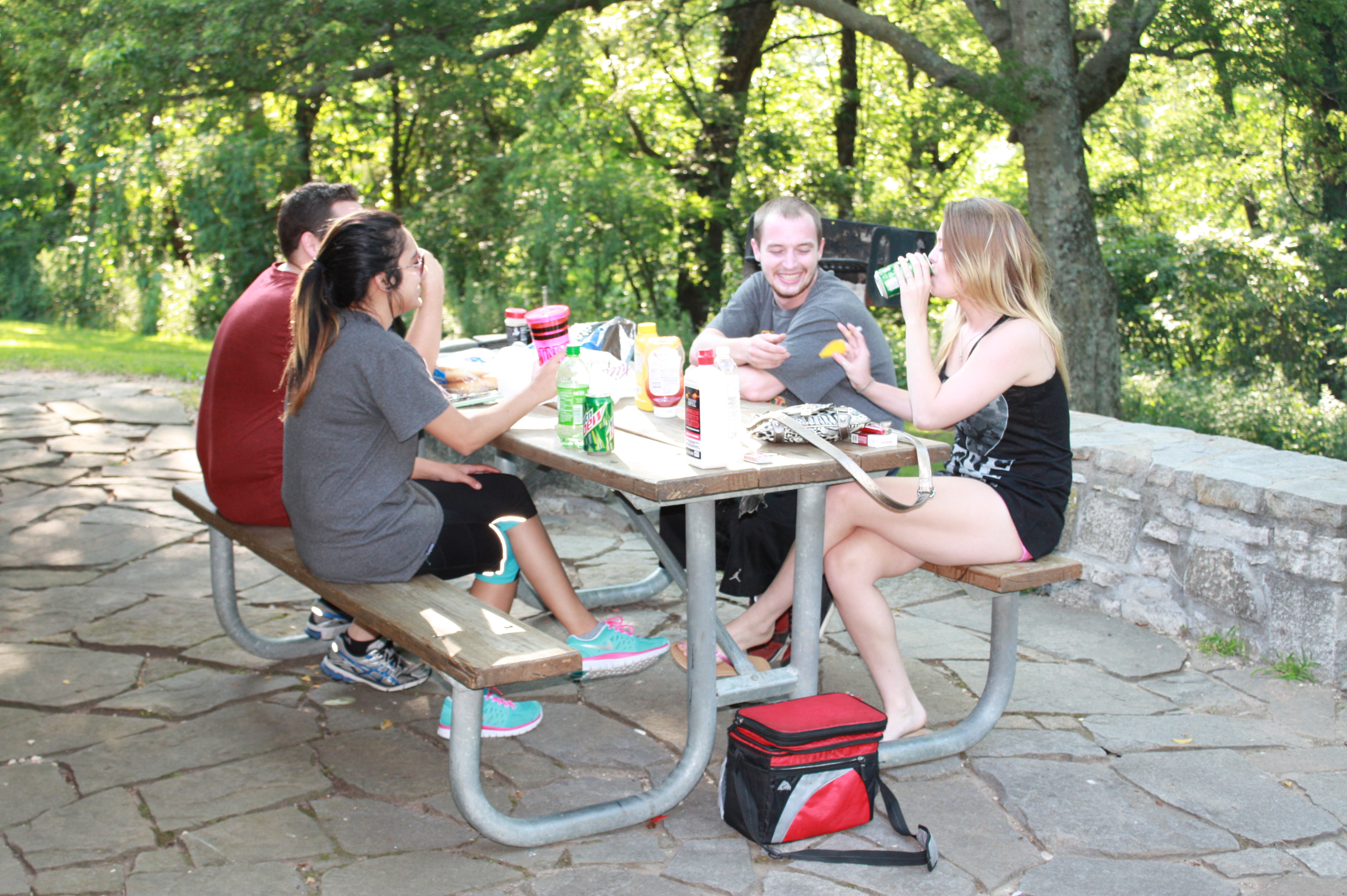 a group is enjoying lunch at a picnic site