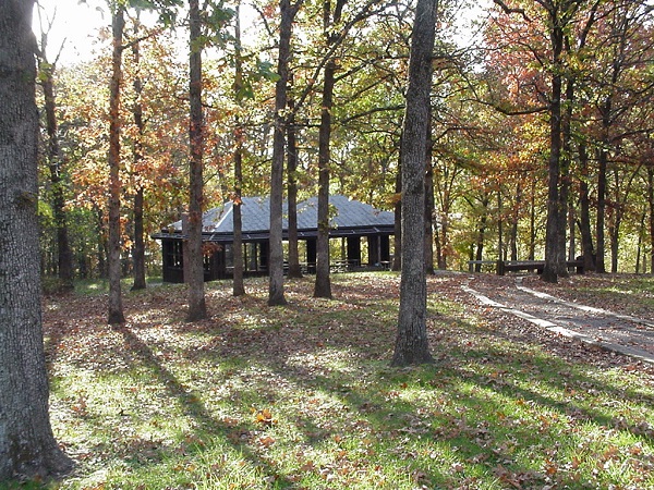 picnic shelter under tall trees