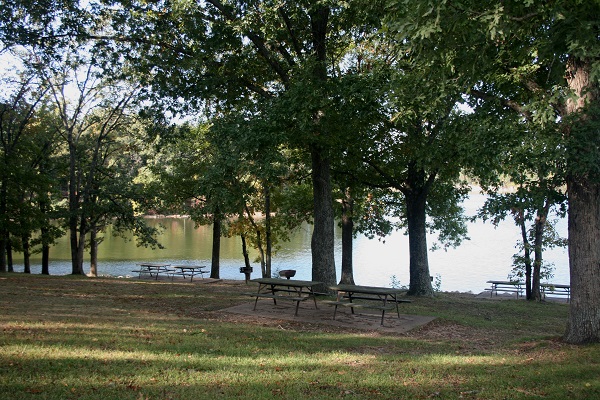 picnic tables under trees next to lake