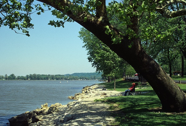 a woman sitting in a chair beneath a large tree fishing on the bank of the lake