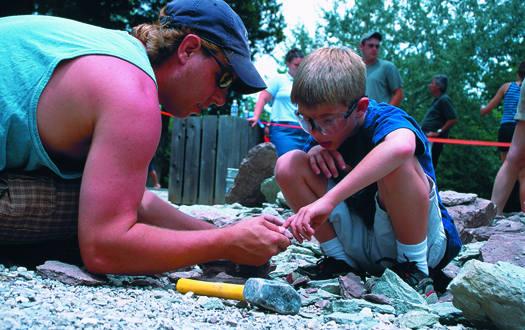 an interpreter helps a boy find a fossil in a rock