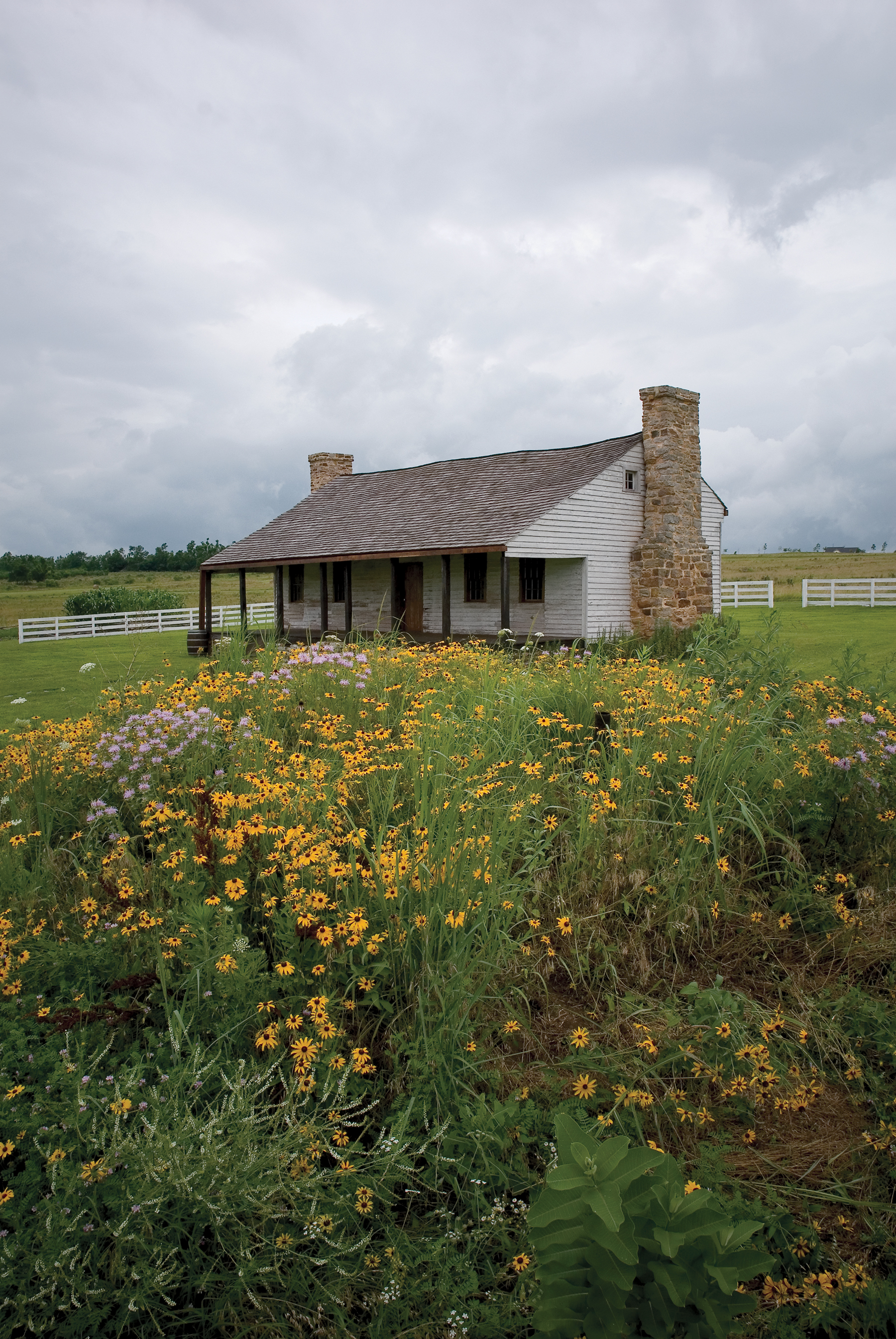 yellow and pink wildflowers with the cabin in the background