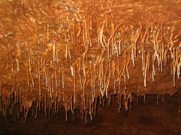 soda straw cave formations hanging from the cave ceiling