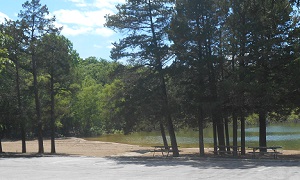 the beach outlined with shade trees and picnic tables