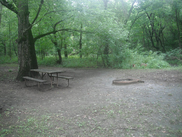 a picnic table and fire ring on a flat area next to a tree