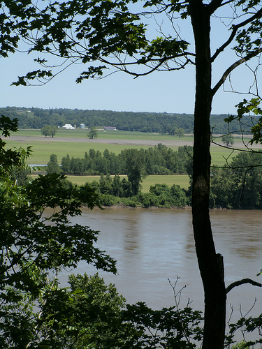 view of the river from the trail