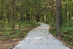 a white chat path leads through a wooded area