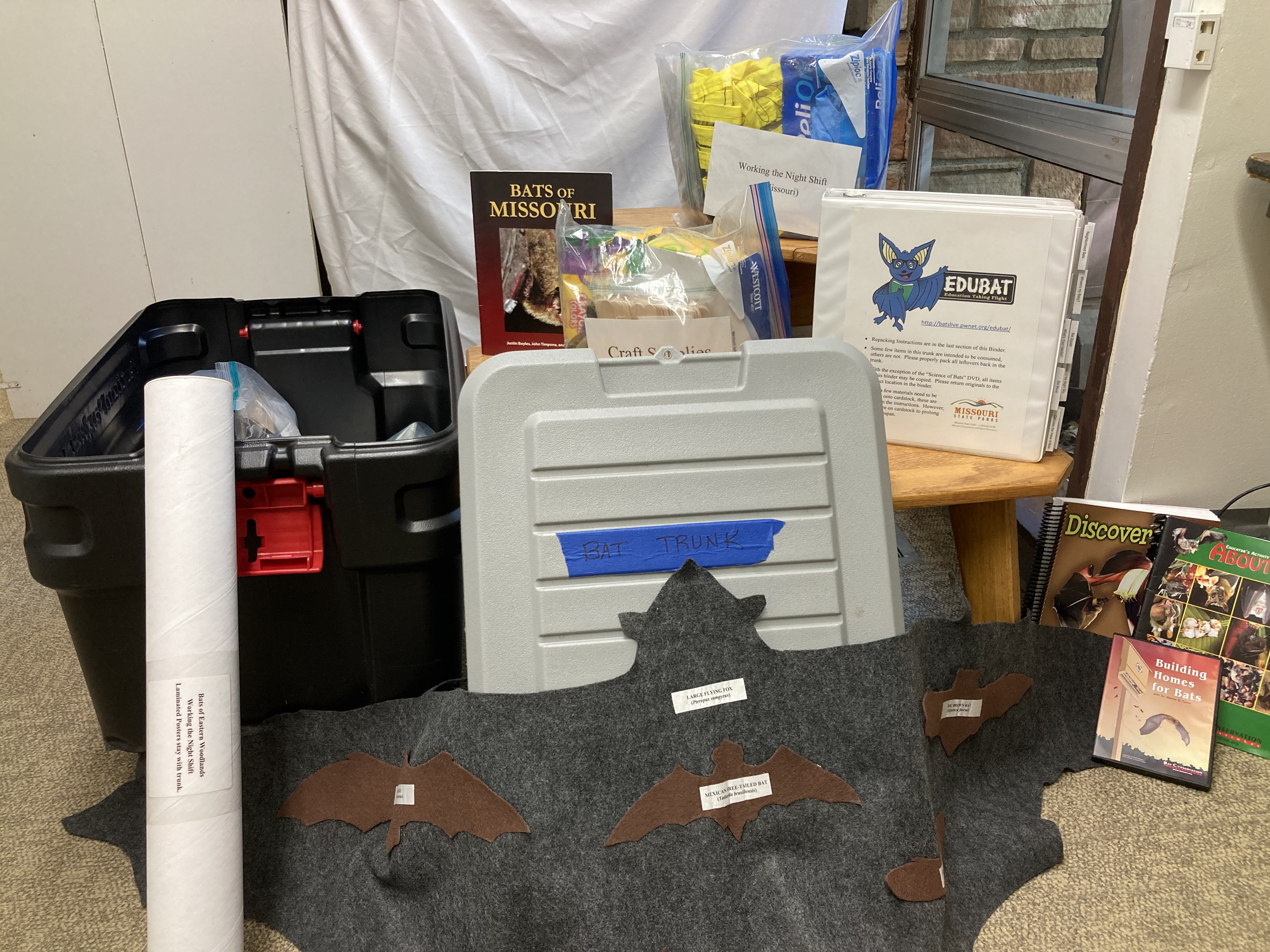 Educational trunk items, including books, a rolled-up poster and a paper cutout of a bat