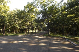 parking lot next to wooded picnic area