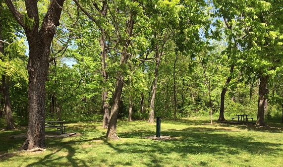 picnic tables scattered in a shaded area