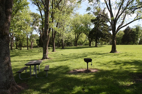 a picnic table and grill under a shade tree