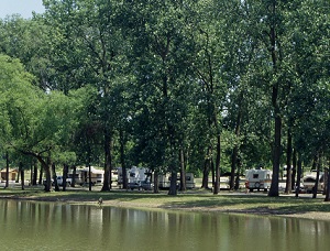 campers ligned up under trees close to the lake