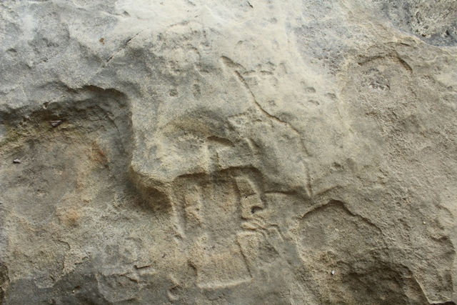 a rock carving of a bird