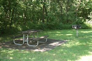 picnic table on a concrete pad and a grill