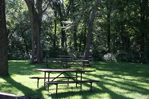 picnic tables under shade trees
