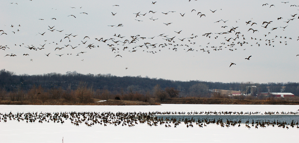 Missouri State Parks