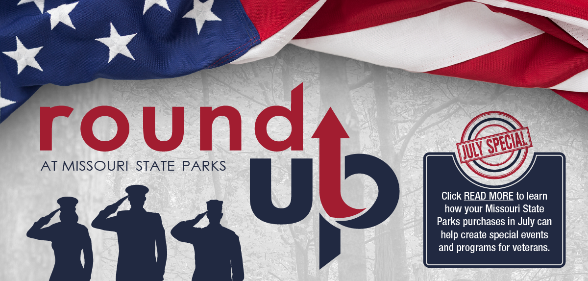 American flag and silhouette of three soldiers saluting to promote the RoundUp Program.