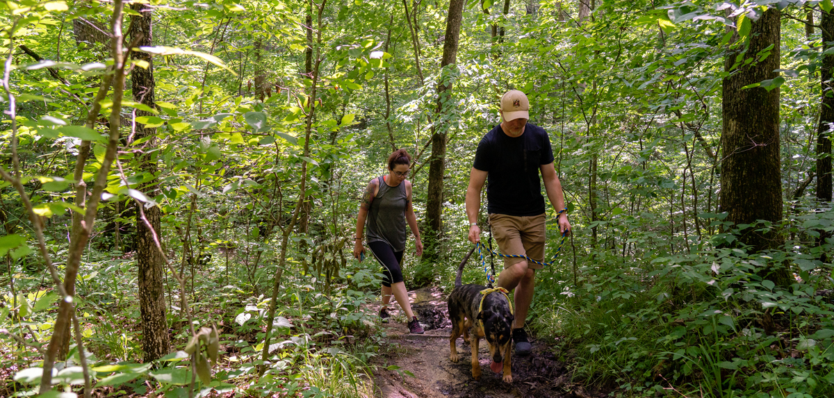 Two people walking dog on a trail in the woods.