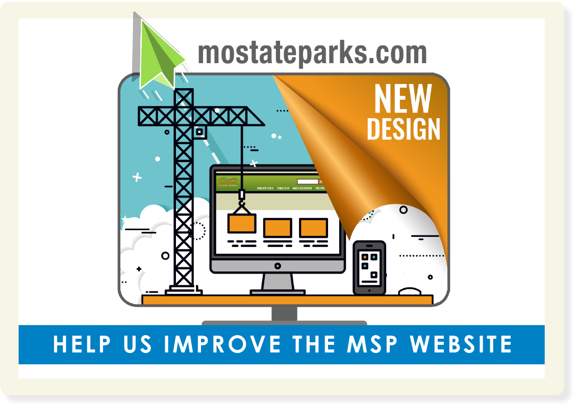 Website External Survey