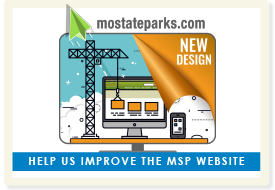 Website External Survey