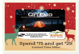 2023 Gift Card Promotion