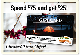2022 Gift Card Promotion
