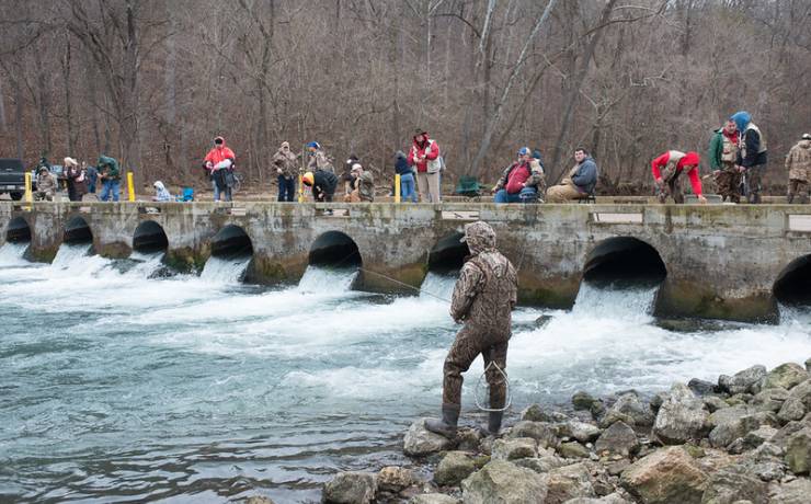 Bennett Spring State Park A Camping Destination With A Lot More Fun Than Just Camping 0000