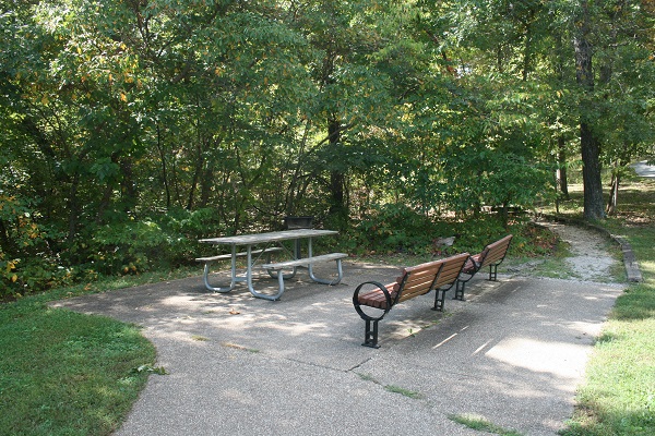 shaded picnic table and two benches on a paved surface