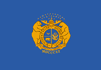 blue flag with Missouri seal in the middle in yellow