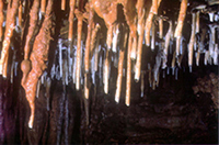 soda straws hanging from the ceiling of Onondaga Cave